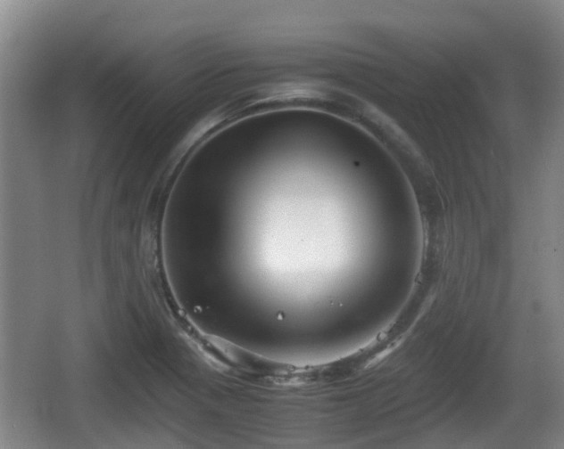 X0000067891321200604171327