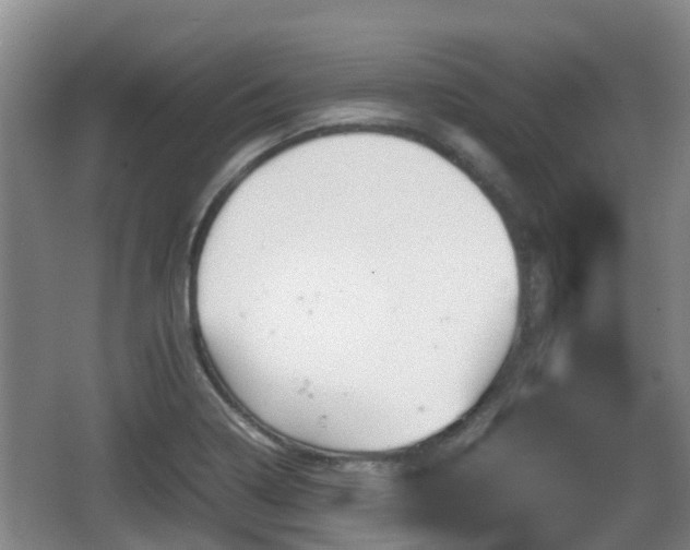 X0000067891322200604171327