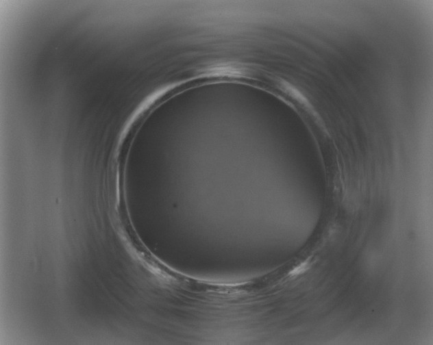 X0000067891323200604171327