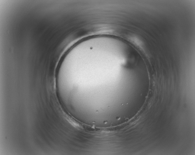 X0000067891324200604171327