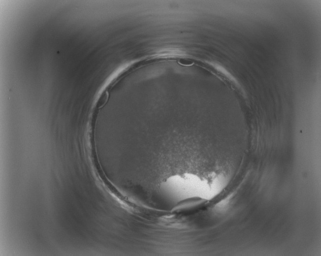 X0000067891325200604171327