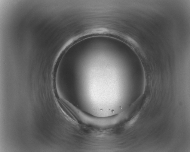 X0000067891326200604171327