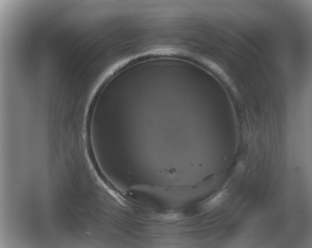 X0000067891327200604171327