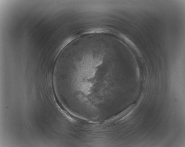 X0000067891329200604171327