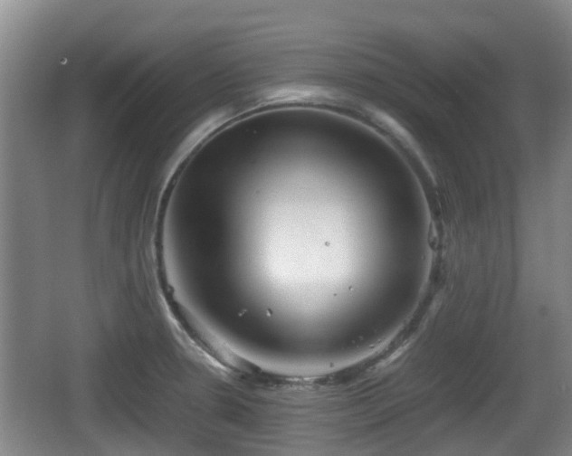 X0000067891330200604171327