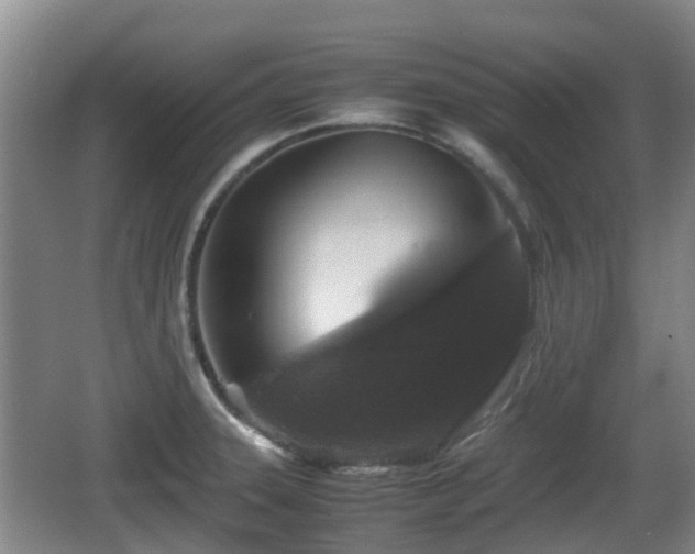 X0000067891331200604171327