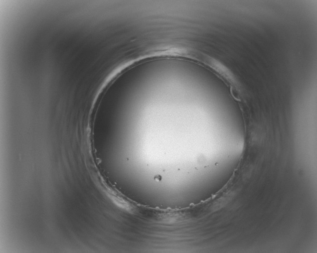 X0000067891332200604171327