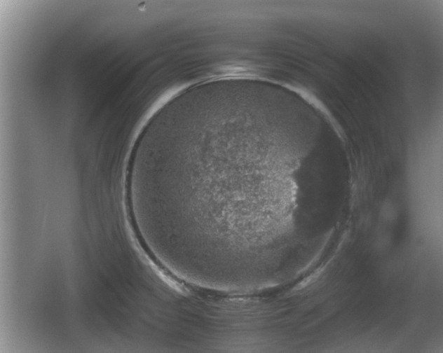 X0000067891333200604171327