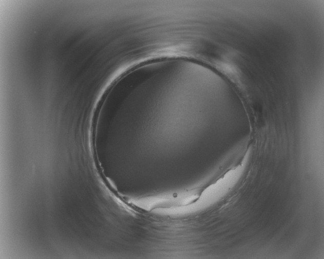 X0000067891334200604171327