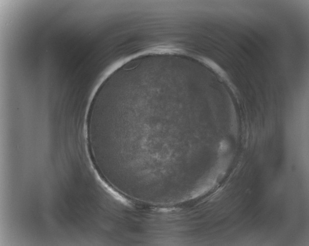 X0000067891335200604171327