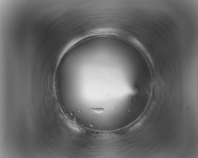 X0000067891336200604171327