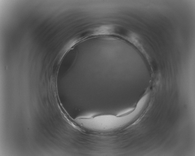 X0000067891337200604171327