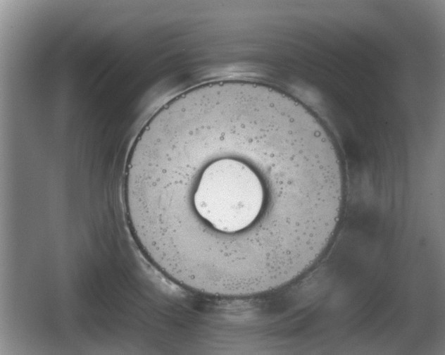 X0000067891338200604171327