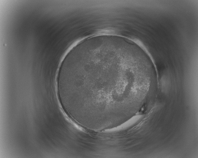 X0000067891341200604171327