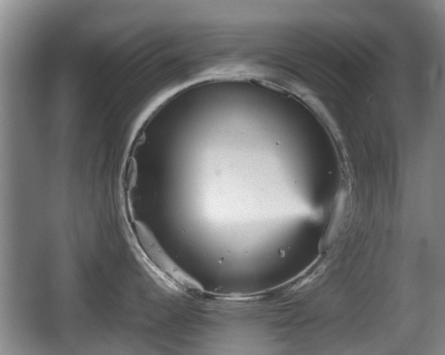 X0000067891344200604171327