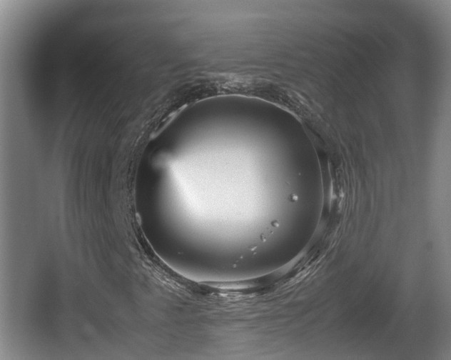 X0000067891345200604171326