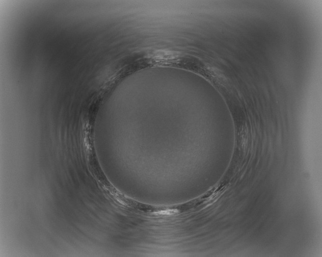 X0000067891346200604171326