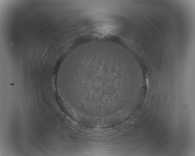 X0000067891347200604171326