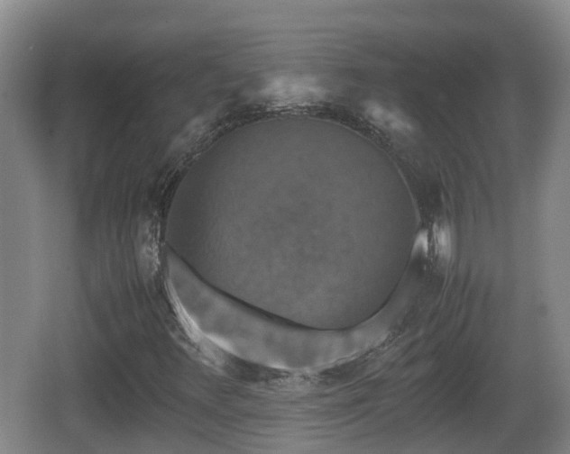 X0000067891348200604171326