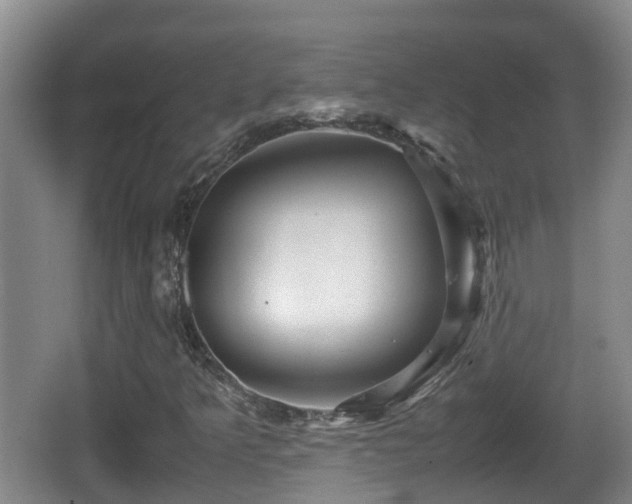 X0000067891349200604171326