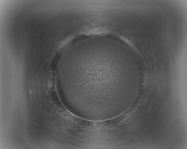 X0000067891350200604171326