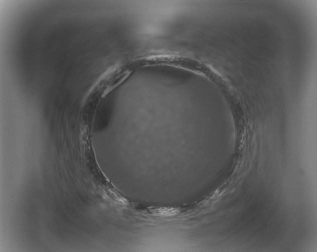 X0000067891351200604171326