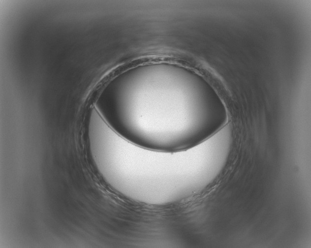 X0000067891352200604171326