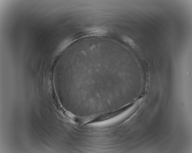 X0000067891354200604171326