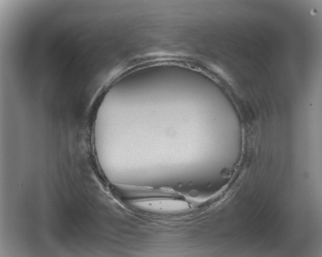 X0000067891357200604171326