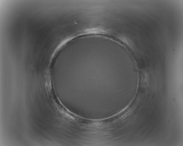 X0000067891358200604171326