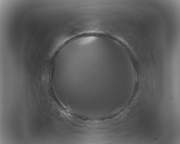 X0000067891359200604171326