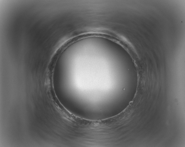 X0000067891360200604171326