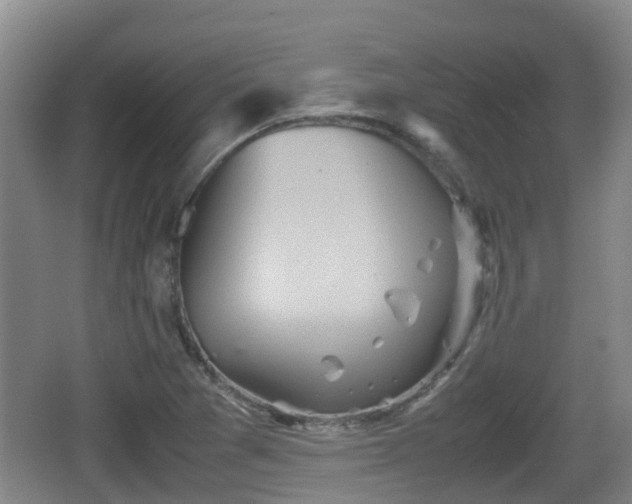 X0000067891361200604171326