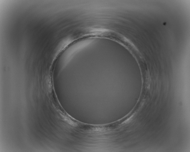 X0000067891362200604171326