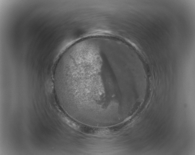 X0000067891363200604171326