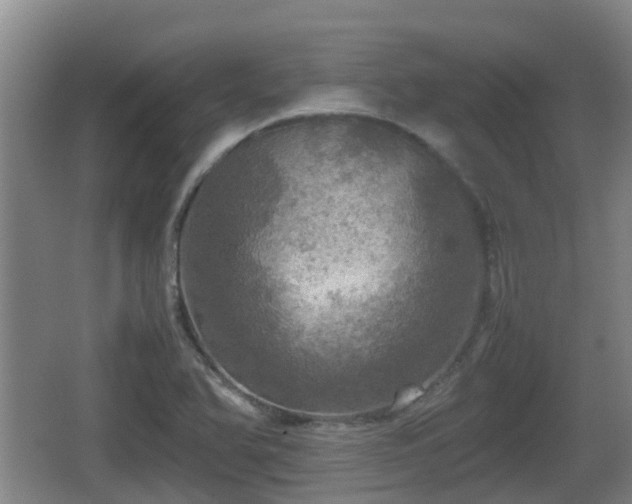 X0000067891366200604171326