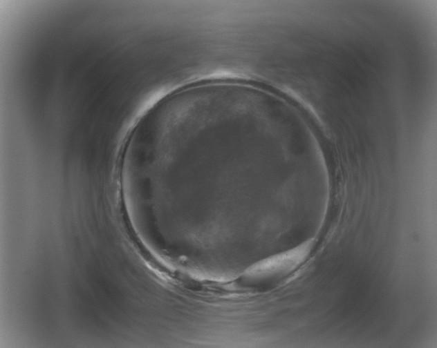 X0000067891367200604171326