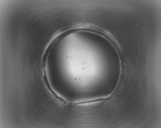 X0000067891368200604171326