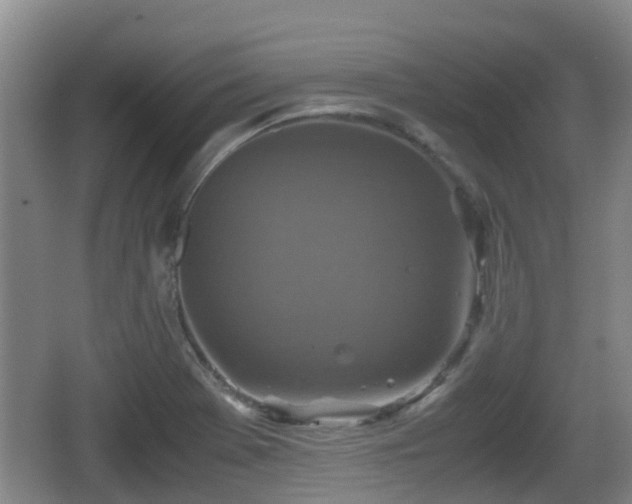 X0000067891369200604171326