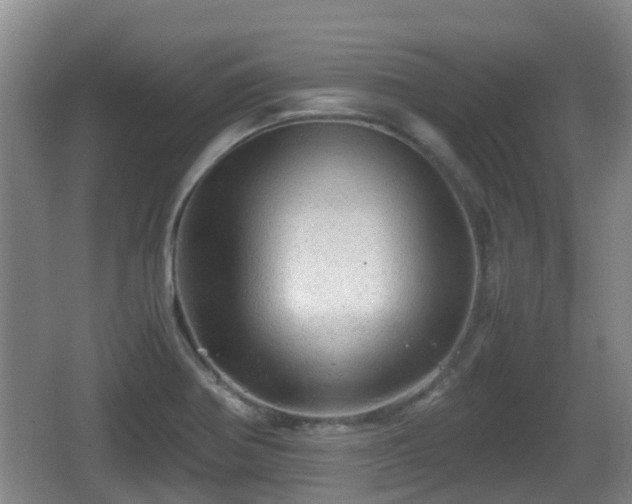 X0000067891370200604171326