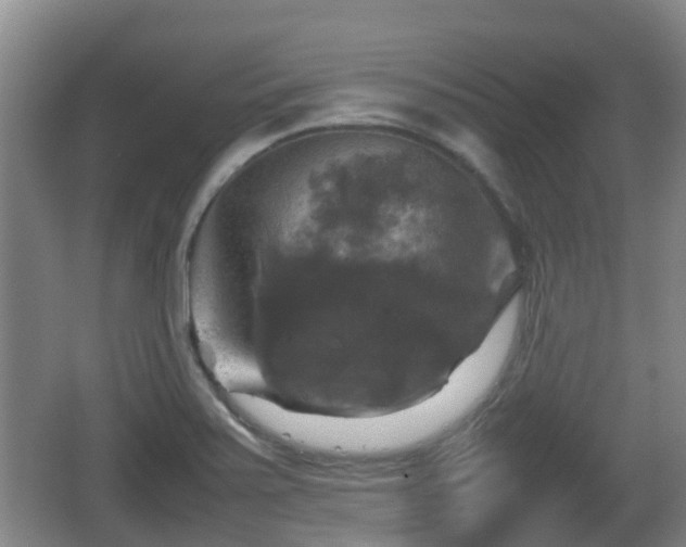 X0000067891371200604171326