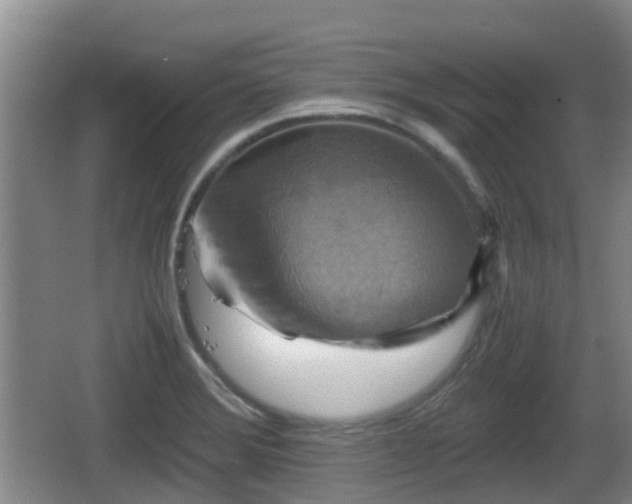 X0000067891372200604171326