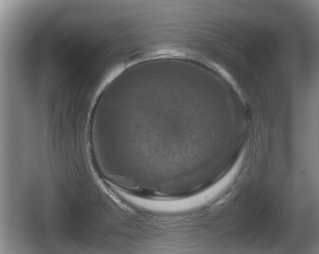 X0000067891373200604171326