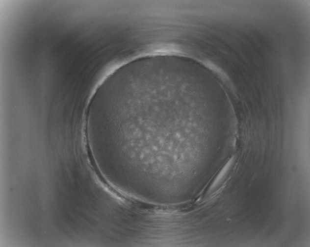 X0000067891374200604171326