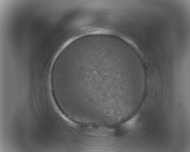 X0000067891375200604171326