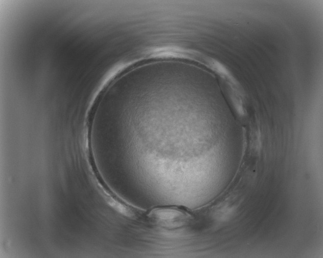 X0000067891376200604171326