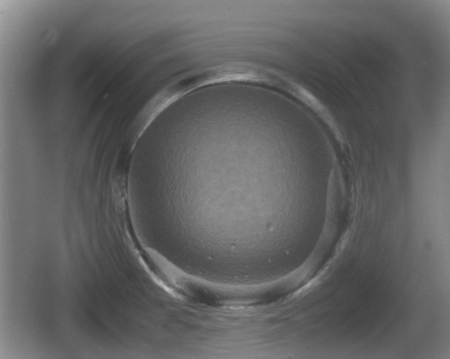 X0000067891377200604171326