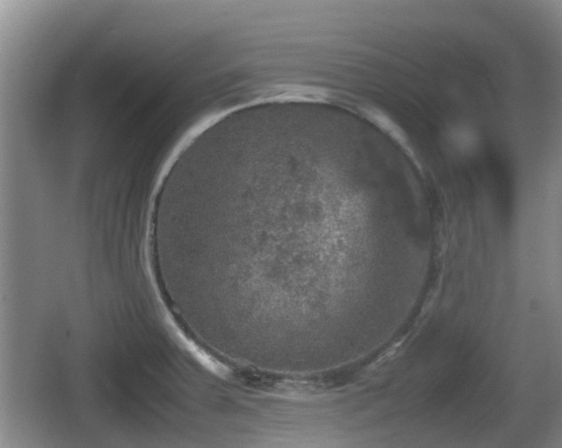 X0000067891379200604171326