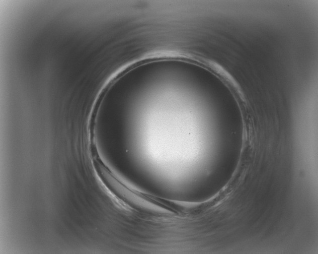 X0000067891380200604171326