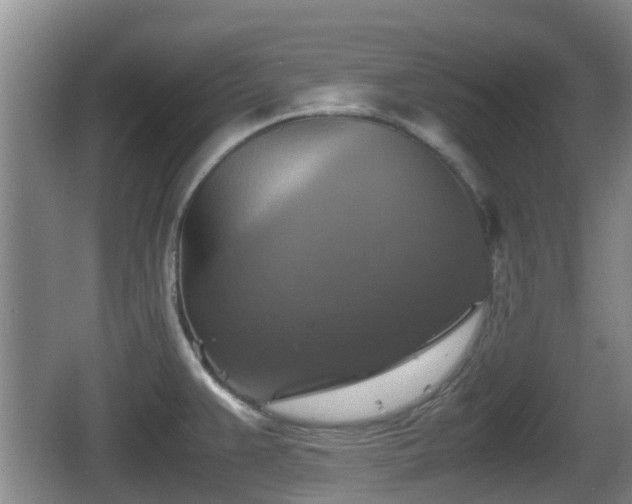 X0000067891383200604171326